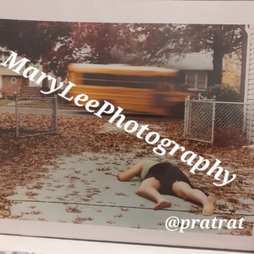📷11×14 mixed format prints 💜Epilepsy awareness prints 💜
